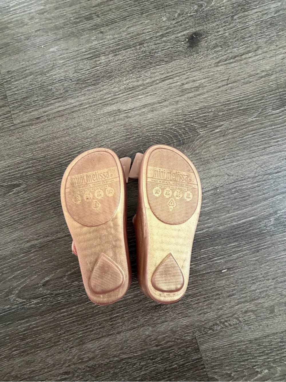 Mini Melissa shiny rose